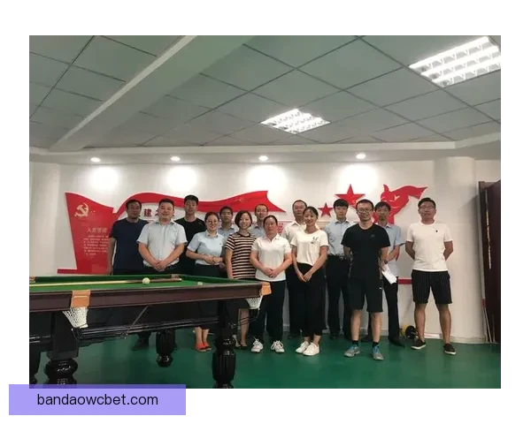 半岛体育官网入口最新官方平台功能玩法指南与安全体验全面解析版